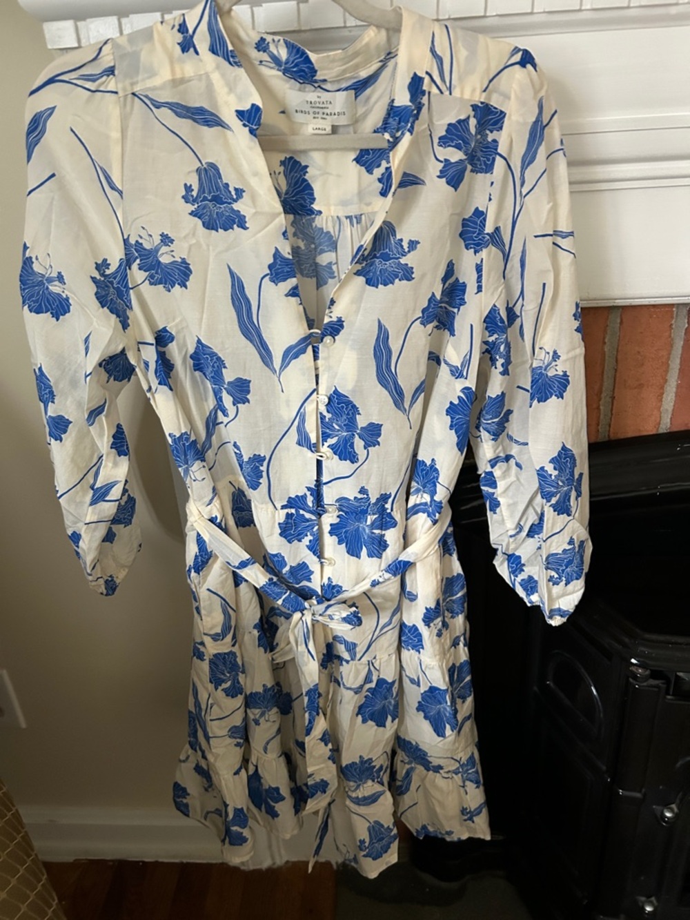 Birds of Paradis by Trovata beautiful blue and cream dress